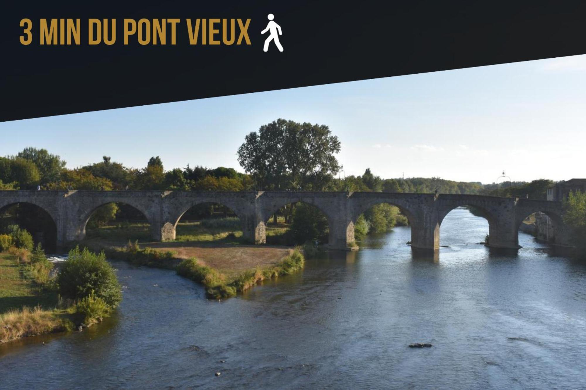 Les Gites De Laure - L'Or Vert, Appartement Avec Vue Sur Le Chateau, Parking Prive, Climatisation, Netflix, A 160 M De La Cite Medievale Carcassonne Esterno foto