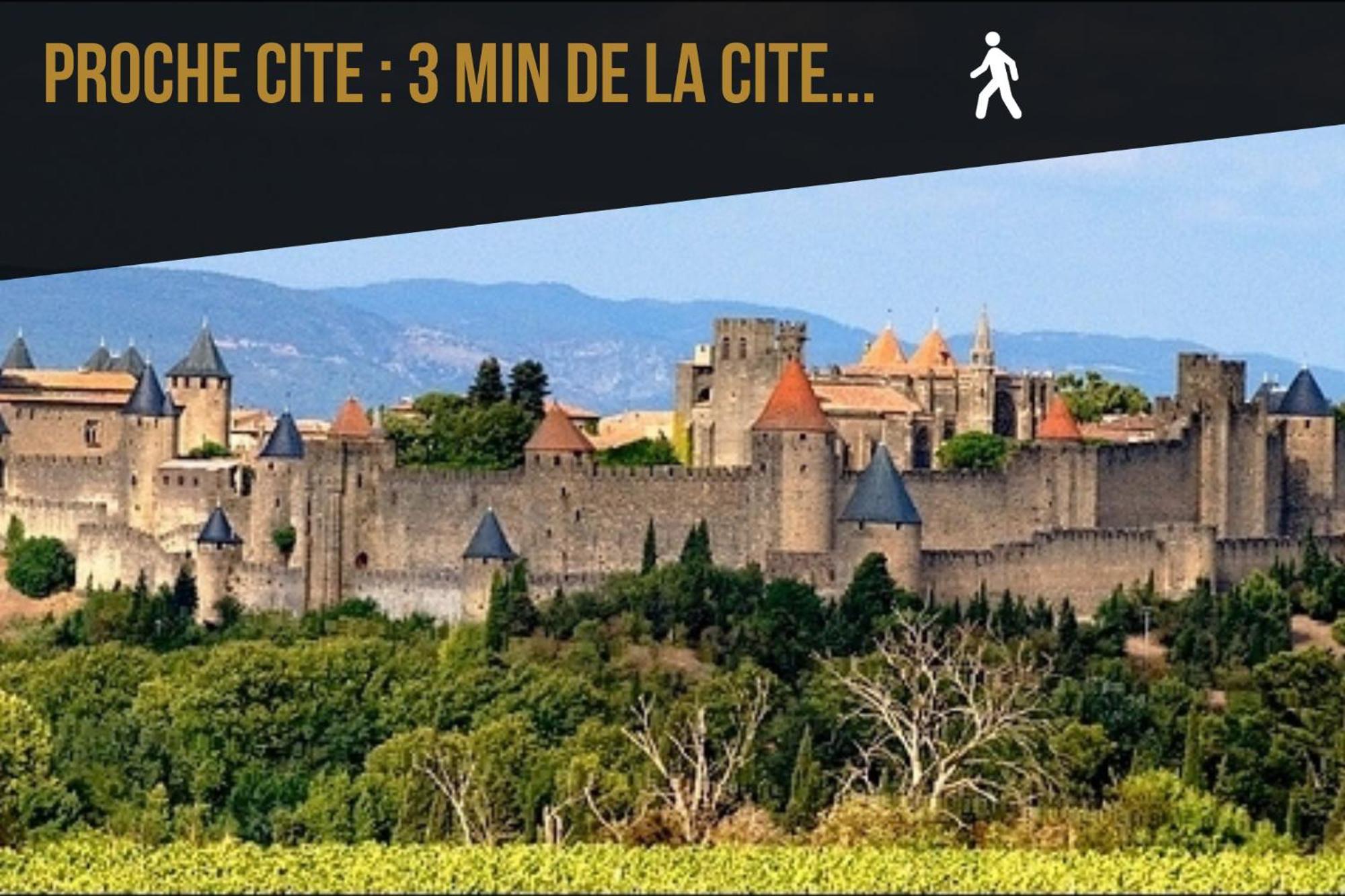 Les Gites De Laure - L'Or Vert, Appartement Avec Vue Sur Le Chateau, Parking Prive, Climatisation, Netflix, A 160 M De La Cite Medievale Carcassonne Esterno foto
